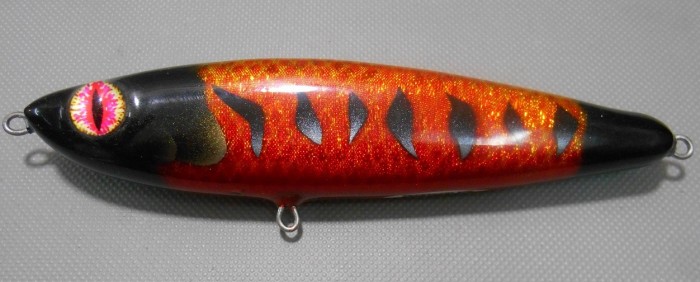 Black Back Fiery.JPG