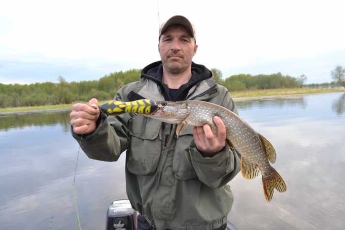 DSC_3944.JPG (1.51 МБ) 24652 просмотра DSC_3944.JPG