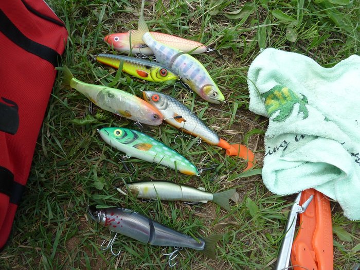 P1090608.JPG (546.57 КБ) 24119 просмотров P1090608.JPG