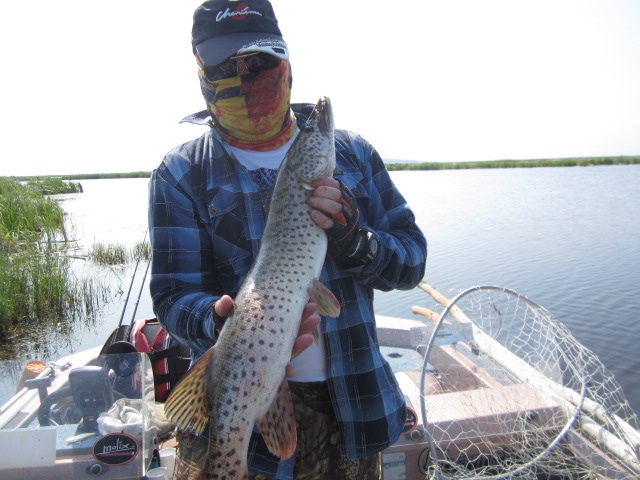IMG_8245.JPG