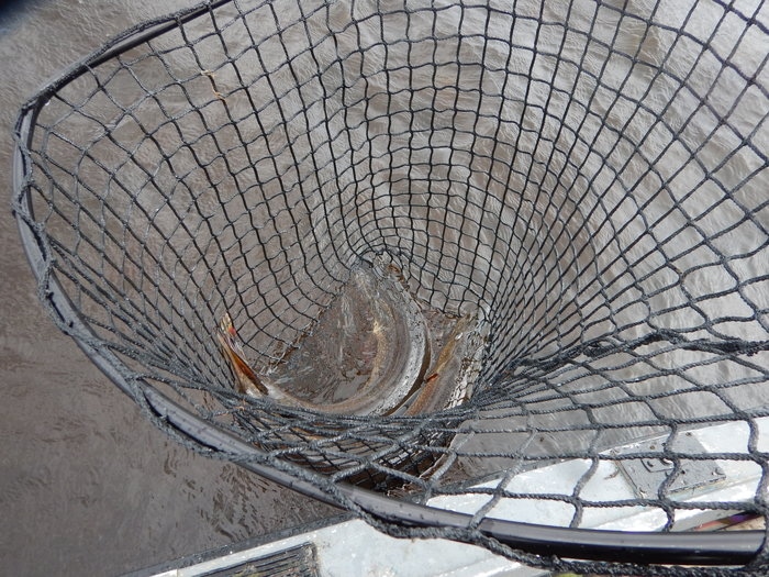 DSCN0146.JPG