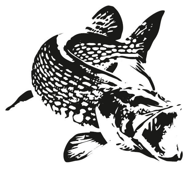 щука толстая.PNG