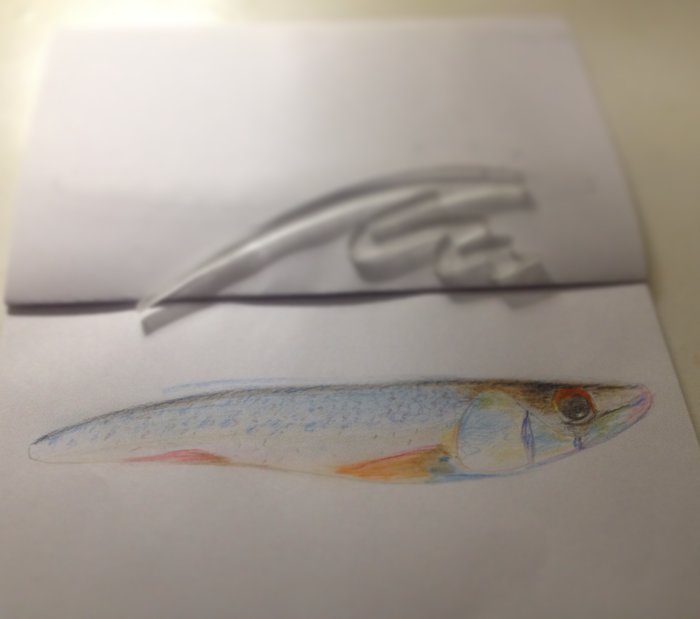 Фото 17.02.16, 21 59 43.jpg (311.37 КБ) 22454 просмотра зажратая плотва