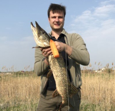 Аватара пользователя